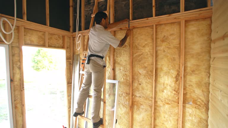 Best Radiant Barrier Insulation  in Blackwater, AZ