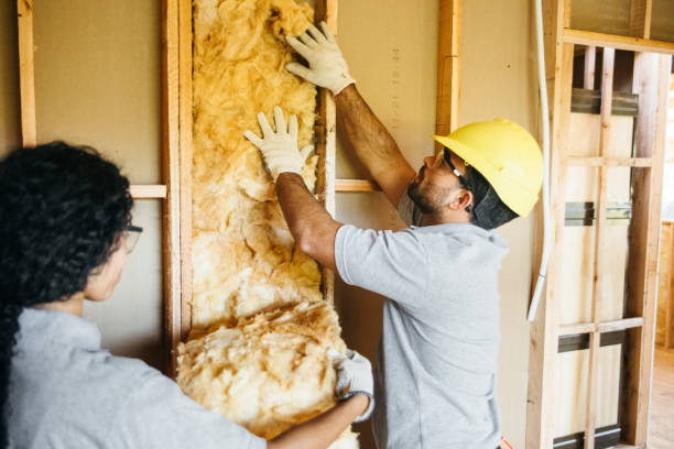 Eco-Friendly or Green Insulation Solutions in Blackwater, AZ